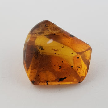 2.84ct Piece of Amber with Spider inside 13x12mm